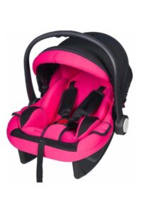 ptasima-200x300 BEBEK TAŞIMA PUSETİ