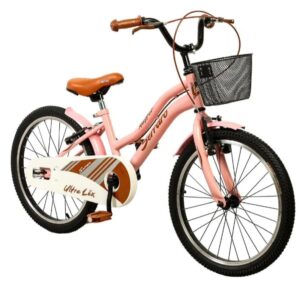 1-300x283 20 JANT RETRO CLASİK BİSİKLET