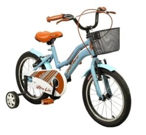 2-300x278 16 JANT RETRO CLASİK BİSİKLET