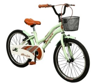 5-300x272 20 JANT RETRO CLASİK BİSİKLET